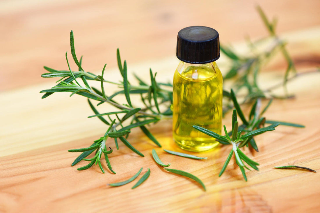 Unlock the Power of Rosemary for Healthy Hair: A Guide to Willow Wellness Ayurvedic Rosemary Hair Oil