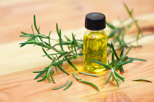 Unlock the Power of Rosemary for Healthy Hair: A Guide to Willow Wellness Ayurvedic Rosemary Hair Oil